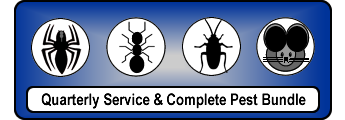 Tulsa Pest Control Treatments